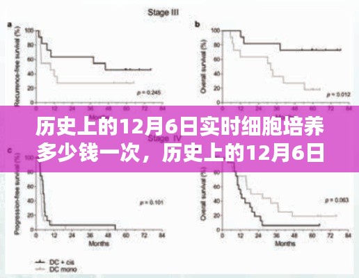 风驰电掣 第13页
