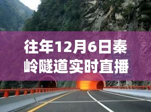 xiangguiyuzun 第11页