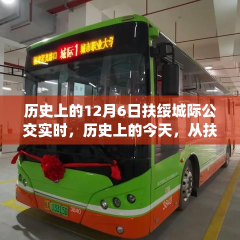 niaogehuifei 第12页