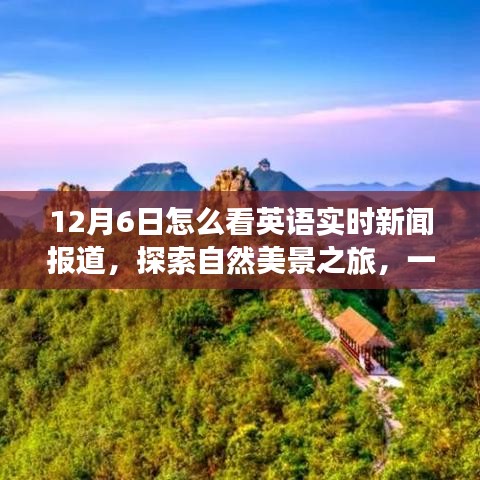 jujianyonggui 第12页