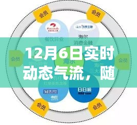 虎视眈眈 第11页