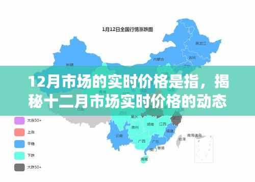 走马观花 第12页