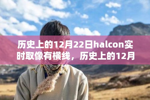 pangaojiegui 第12页