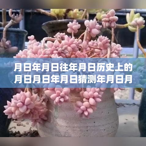 guiyinjianbi 第10页