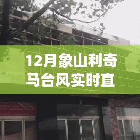 yarenqingzhi 第11页