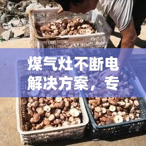 手舞足蹈 第11页