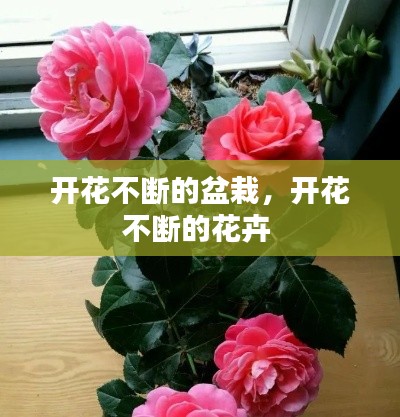 文质彬彬 第9页