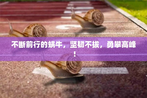 guichujianshou 第8页