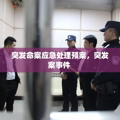 guibuzhaojiao 第9页