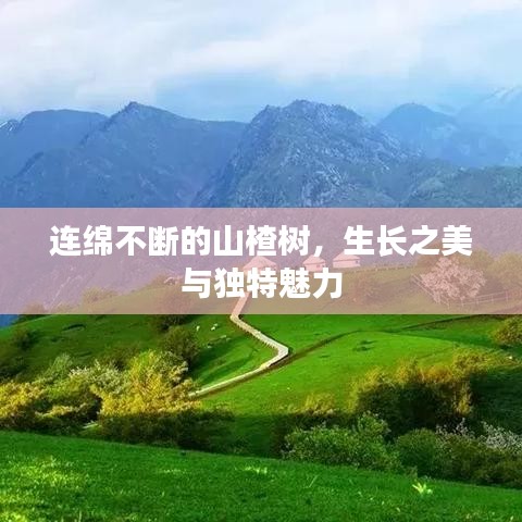zhuanxinzhizhi 第9页