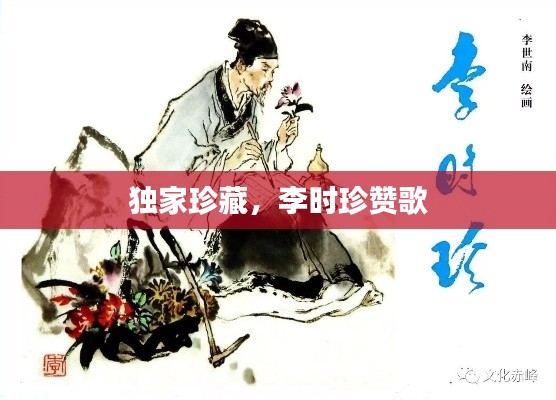 bainiaozhengming 第9页