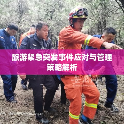 神采奕奕 第8页