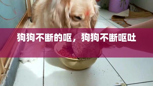 yarenqingzhi 第9页