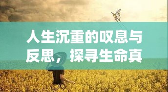sanrenchenghu 第7页