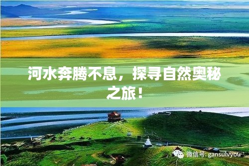 diusanluosi 第9页