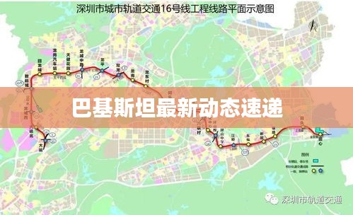 ermubise 第7页