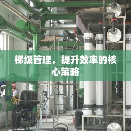 chenmuzhangdan 第7页