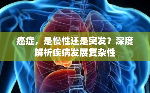 xingjirufei 第9页