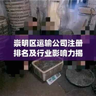 崇明区运输公司注册排名及行业影响力揭秘