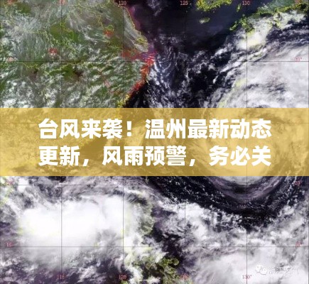 bingguishensu 第6页