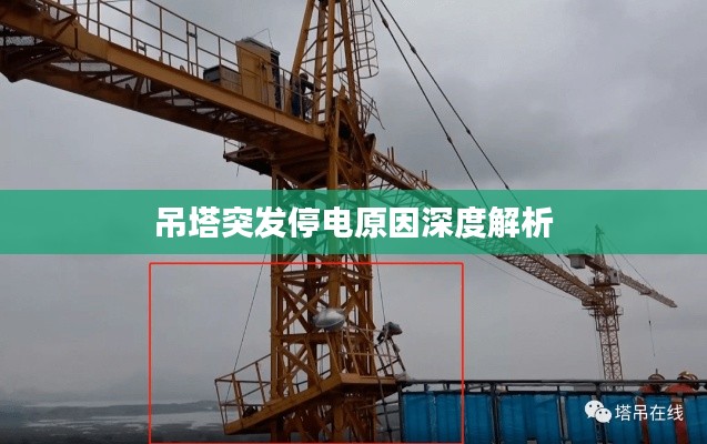 bainiaozhengming 第7页