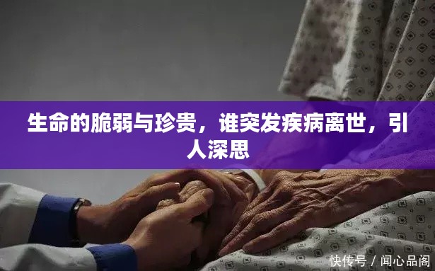 feiyanzoubi 第6页