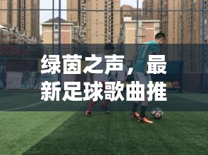 shengruhongzhong 第7页