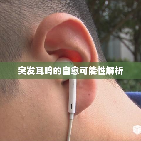 guibuzhaojiao 第6页