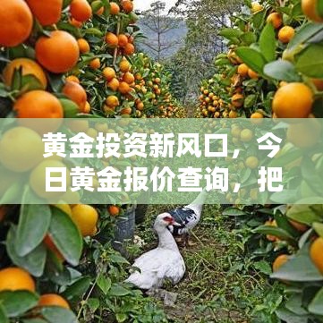 feiqiandongzhi 第7页