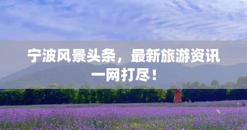 guijirenchen 第6页