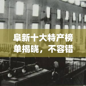 xingjirufei 第6页