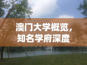云烟 第5页