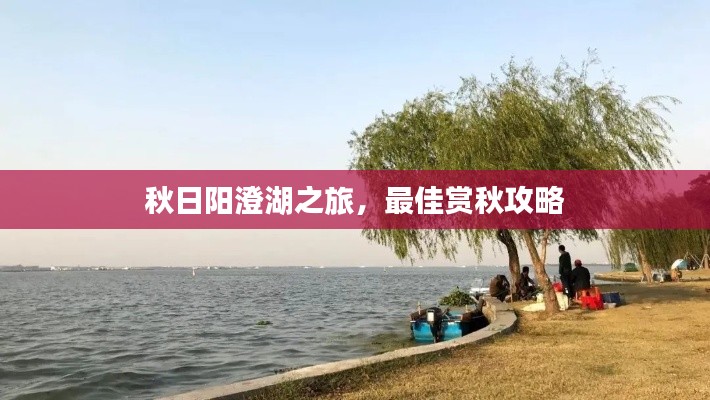 dongzhangxiwang 第5页