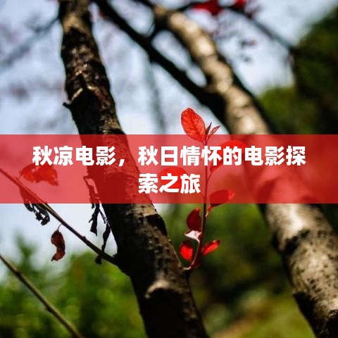 yishisanniao 第6页
