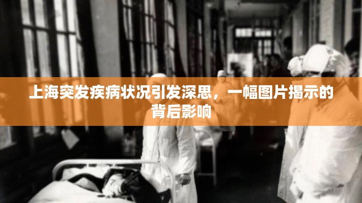 gangqiemuzhang 第6页