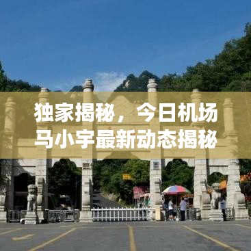 chenhouguayan 第5页