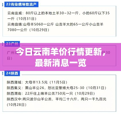 qinshouyimei 第5页