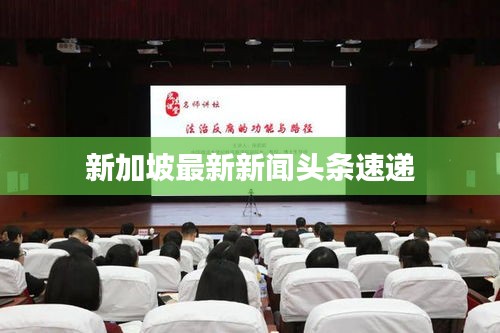 dazhangqigu 第4页