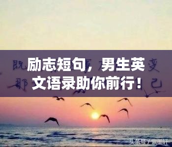 feiqiandongzhi 第4页