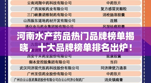 yishisanniao 第4页