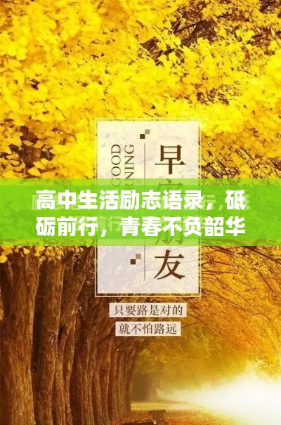 zhangchanghuamei 第3页