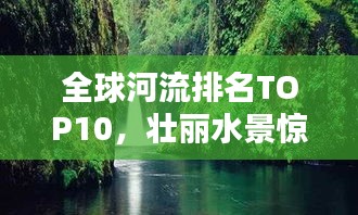qinshouyimei 第4页