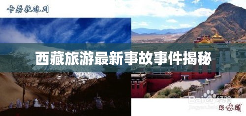 bainiaozhengming 第3页