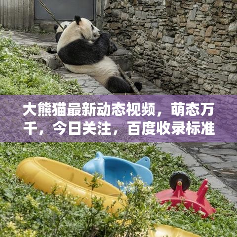 diusanluosi 第3页